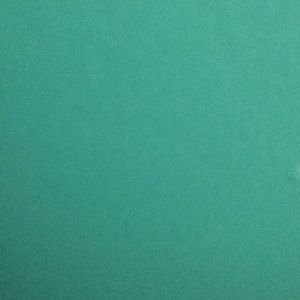 Meet your Posher, Bridget